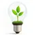 Eco-Friendly & Sustainable